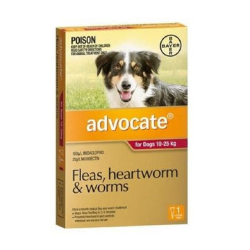 Advocate For Large Dogs (10-25kg) Advocate